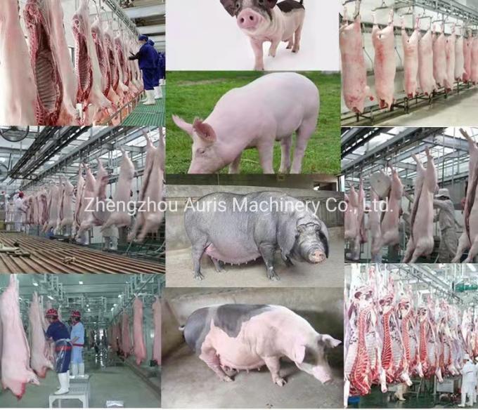 El pelo comercial del cerdo de la máquina de proceso del cerdo de la cadena de sacrificio del cerdo del uso que quita el equipo para el matadero de los cerdos depila la máquina