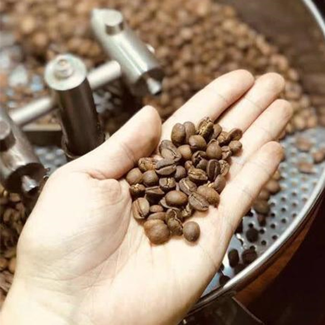 Máquina que cuece de alta calidad del kilogramo Diedrich Coffee Bean Roaster Roasting del borrachín 5 del gas eléctrico del precio bajo pequeña con la cuchara de la muestra