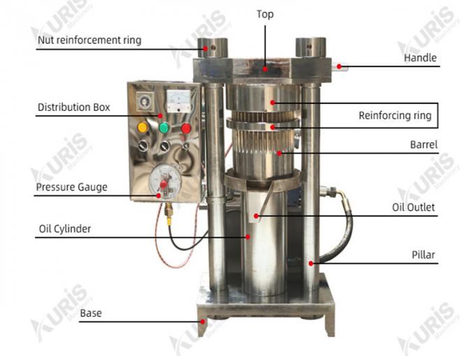 Aceite de semilla hidráulico vertical de girasol de la semilla del té de la nuez del sésamo de la alta recuperación del aceite que saca presionando el expulsor que hace el equipo