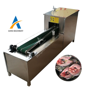 Escala de la cortadora de limpieza y de los pescados comerciales automáticos que quita la máquina