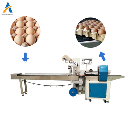 Empaquetadora automática de la almohada del sello de la máquina del envasado de alimentos del flujo de la pizza